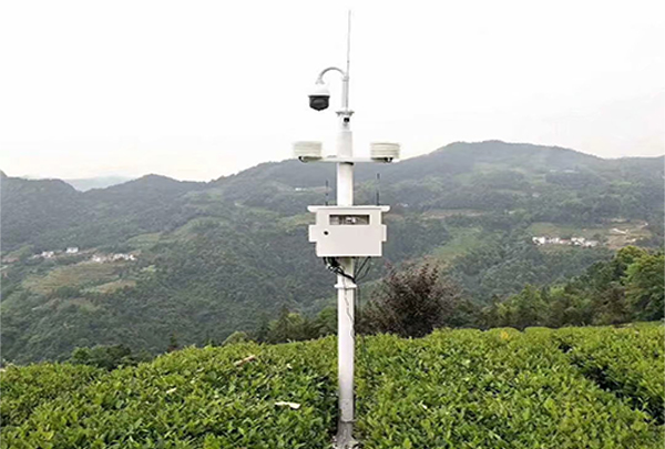 智慧农业茶园土壤墒情气象监测站安装案例