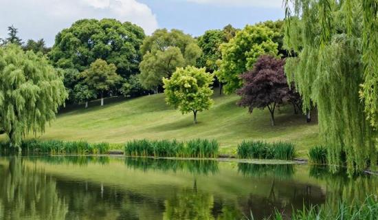 1768785192802231.jpg 20260119091229.jpg