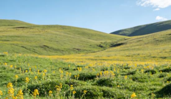 草原气象多参数监测站 助力实现草原资源科学管理与可持续发展